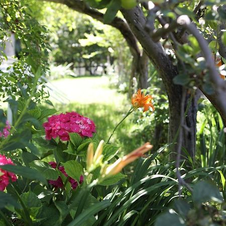 Le Rosier B&B E Appartamento Saint-Vincent Esterno foto