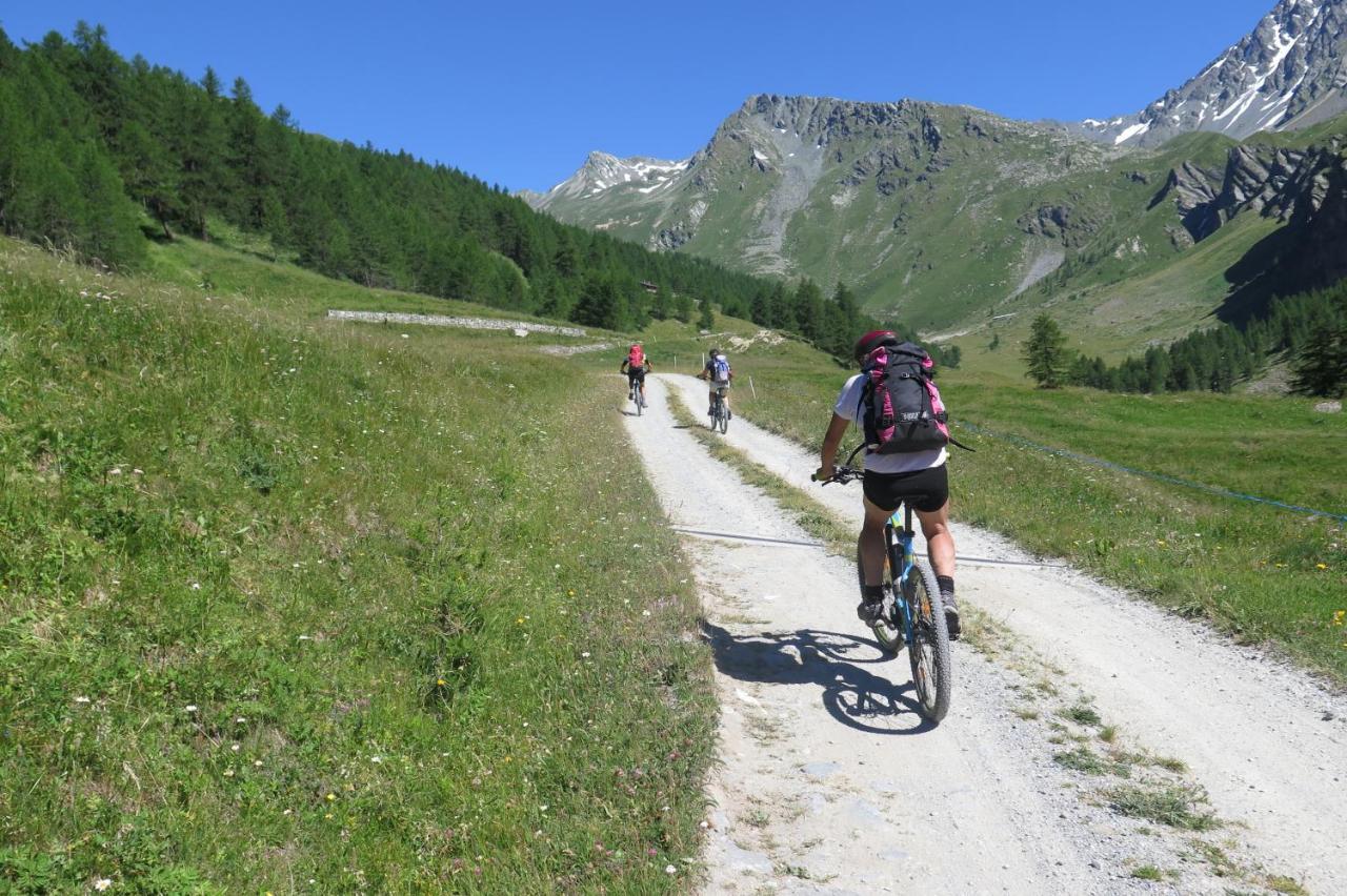 Le Rosier B&B E Appartamento Saint-Vincent Esterno foto