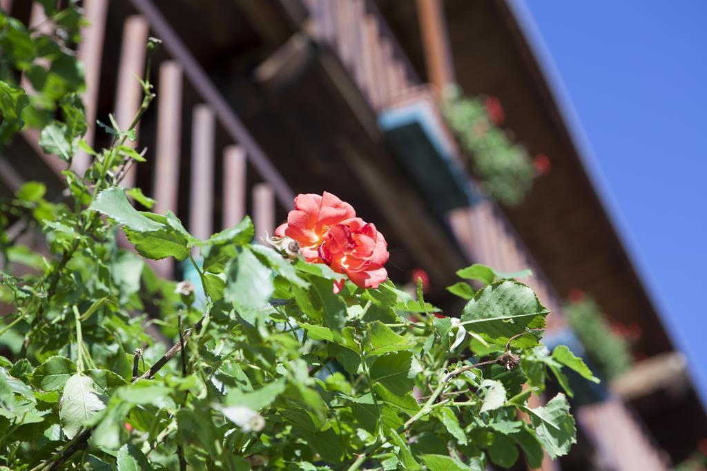 Le Rosier B&B E Appartamento Saint-Vincent Esterno foto